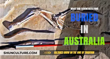Scientists Discover Ancient Fossils in Australia's Outback