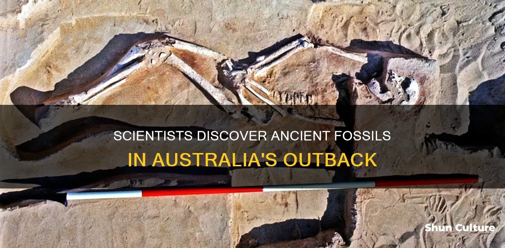 what did scientists find buried in australia