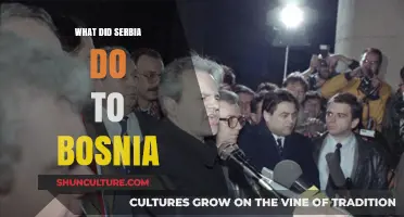 Serbia's Role in Bosnia: Conflict, Consequences, and Historical Impact