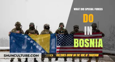 Special Forces' Covert Operations and Impact in the Bosnian War