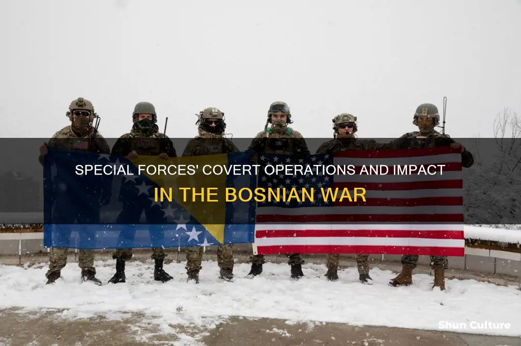 what did special forces do in bosnia