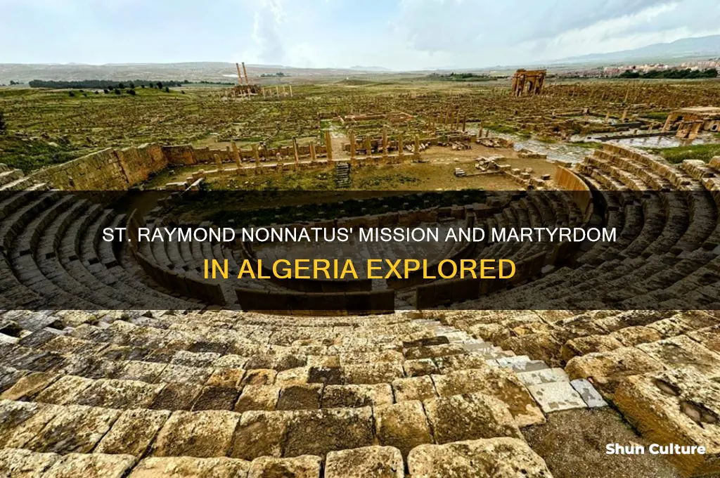 what did st raymond nonnatus do in algeria