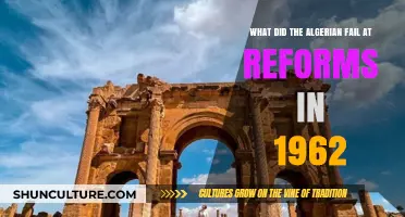 Algeria's 1962 Reform Failures: Causes and Consequences Explored