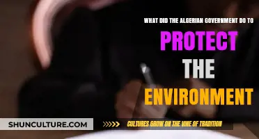 Algeria's Green Initiatives: Government Actions to Protect the Environment