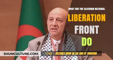 Algerian National Liberation Front: Struggles, Achievements, and Legacy Explained