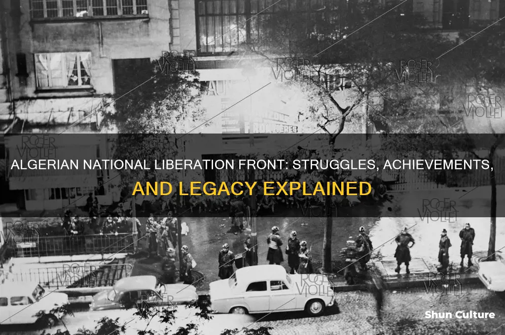 what did the algerian national liberation front do