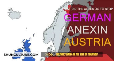 How Allies Prevented Germany's Annexation of Austria