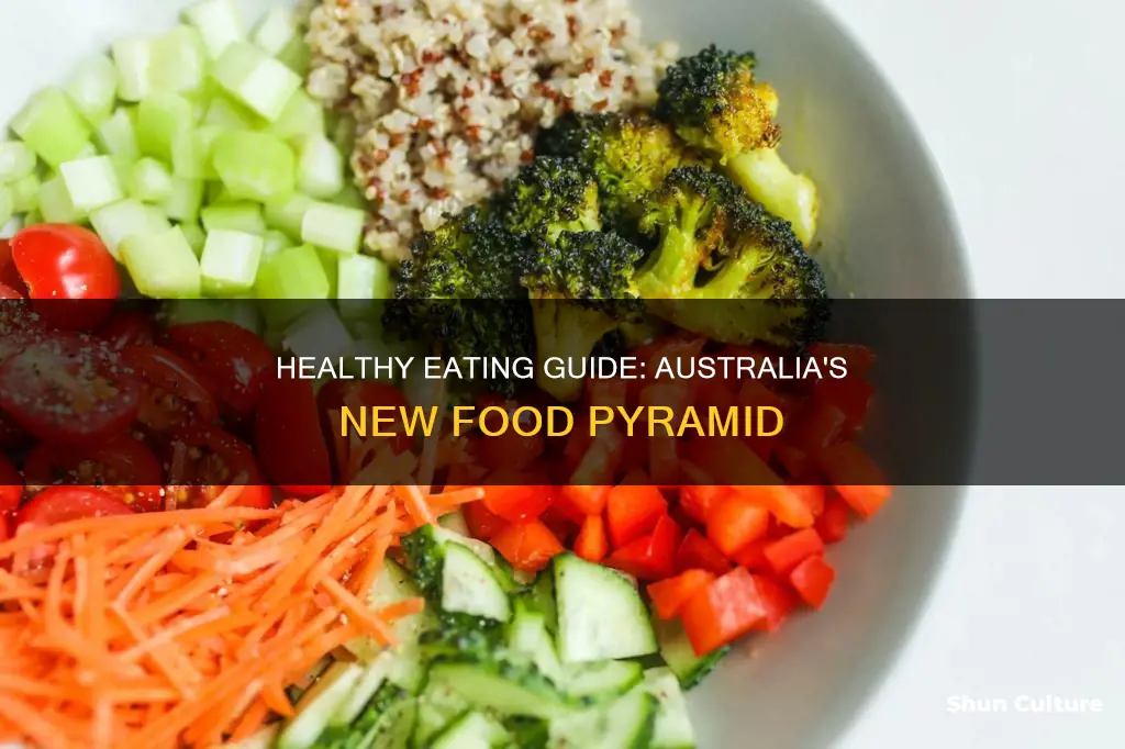 what did the australian guide to healthy eating replace