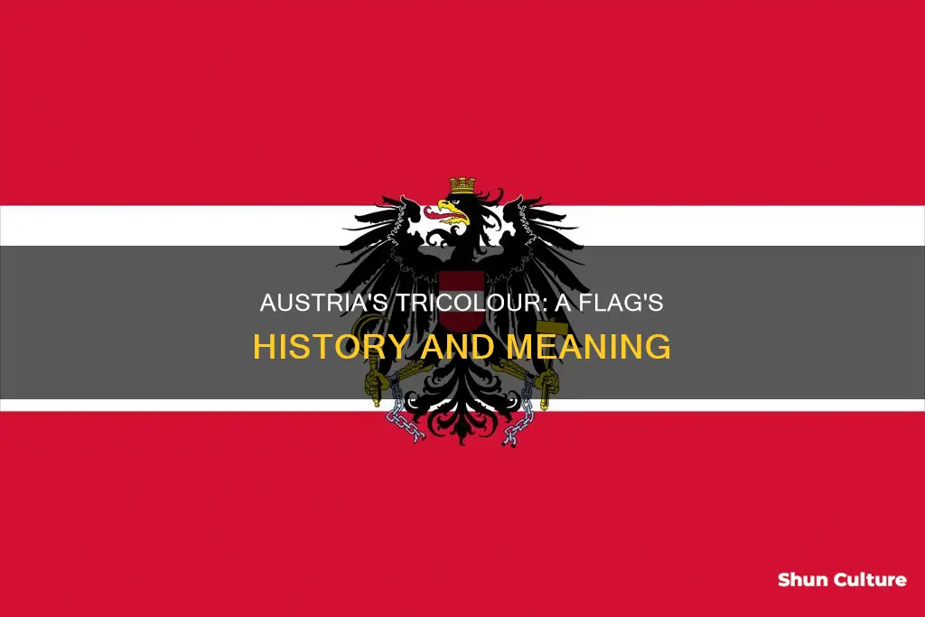 what did the austria flag