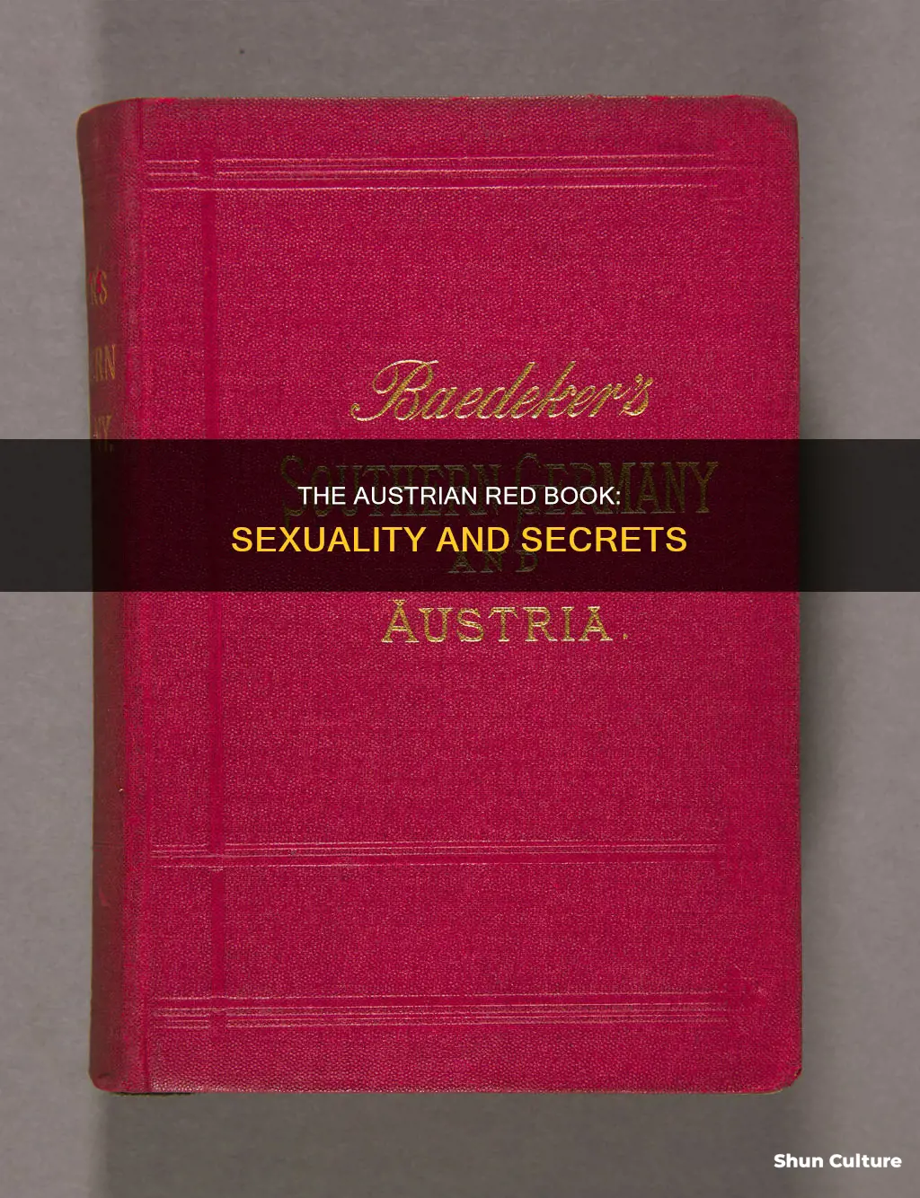 what did the austrian red book talk about