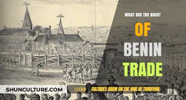 Exploring the Rich Trade History of the Bight of Benin