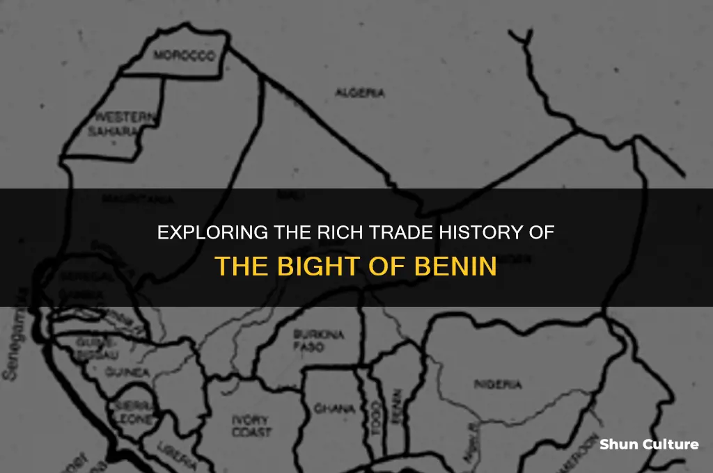 what did the bight of benin trade