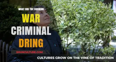 Bosnian War Criminal's Beverage Choice: Uncovering the Drinks of a Notorious Figure