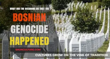 Understanding the Bosnian Genocide: Causes and Historical Context