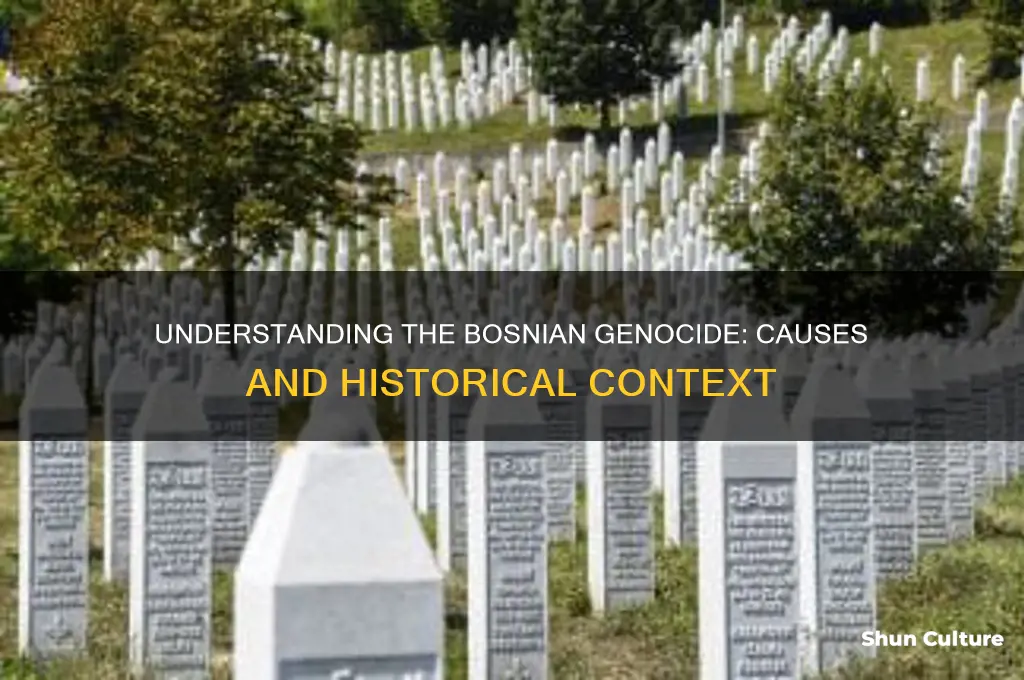 what did the bosnians do that the bosnian genocide happened