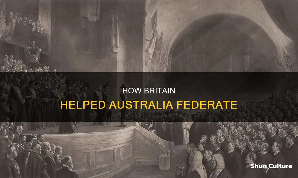 what did the british government do so australia could federate