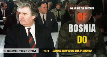 The Butcher of Bosnia's Atrocities: Uncovering Radovan Karadžić's War Crimes