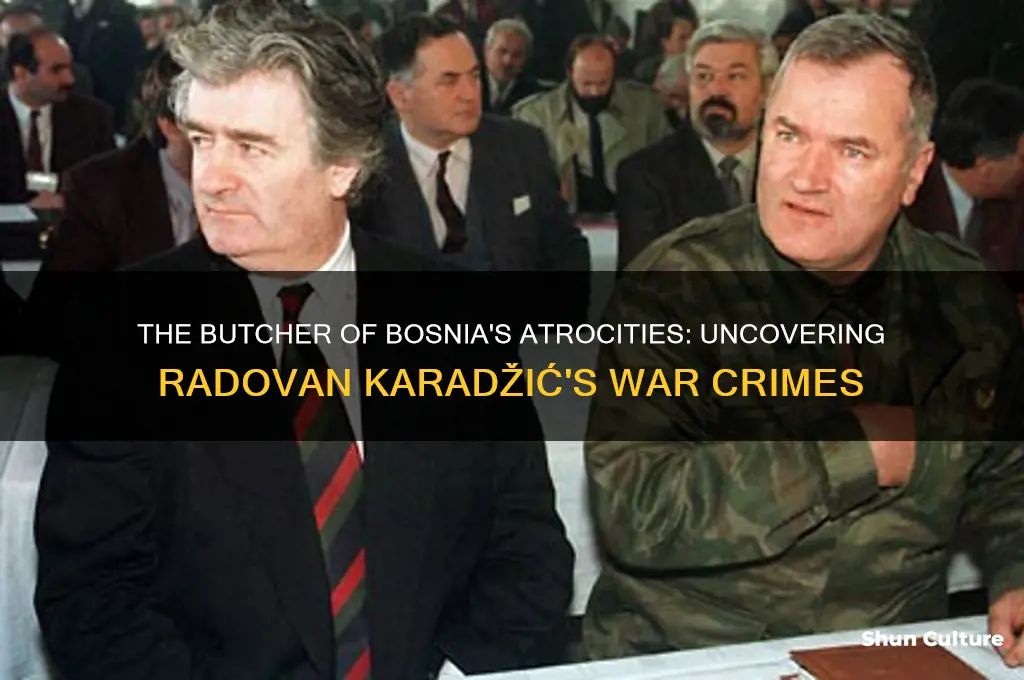 what did the butcher of bosnia do