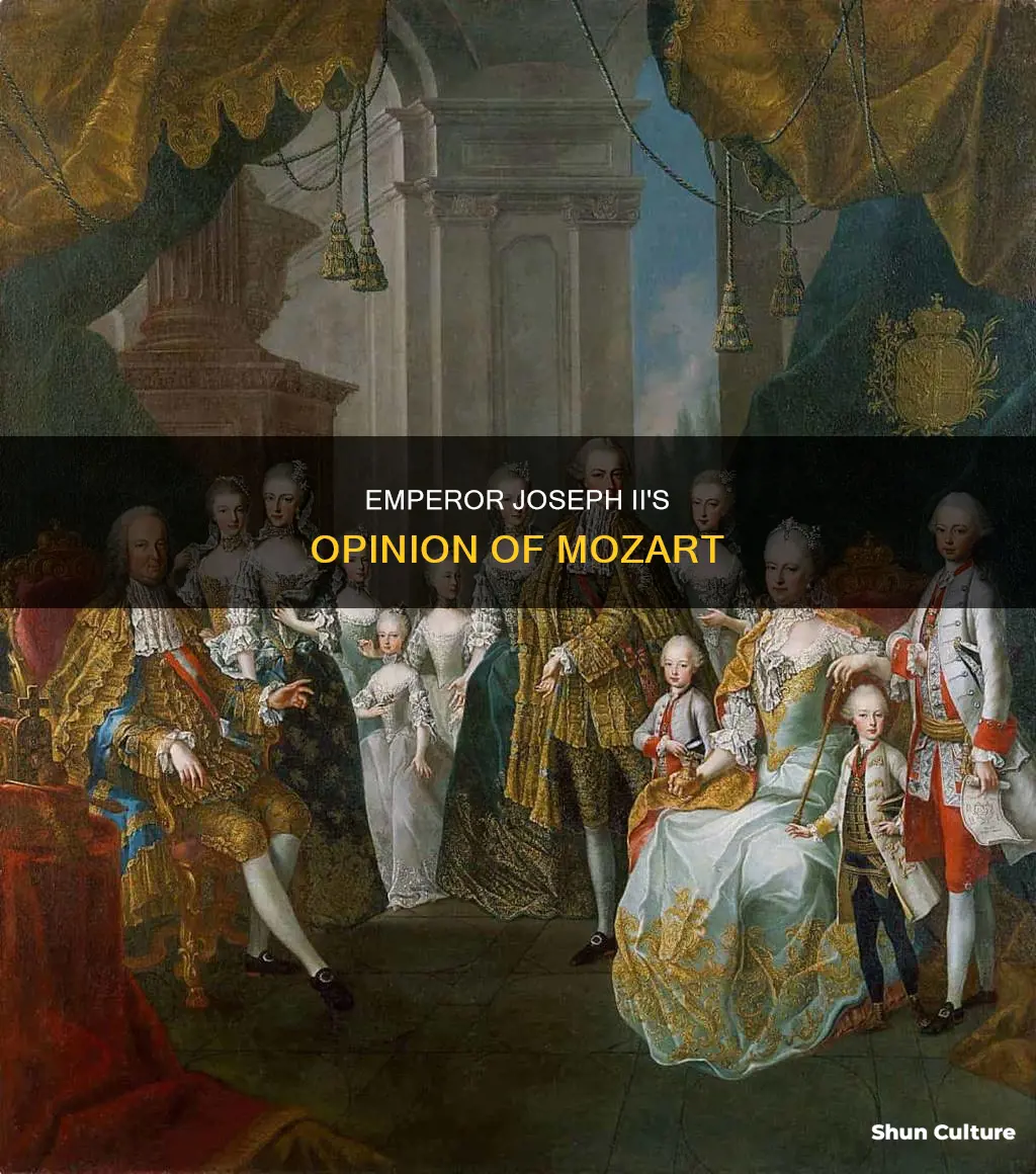 what did the emperor of austria think of mozart