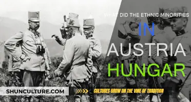 Ethnic Minorities in Austria-Hungary: Who Were They?