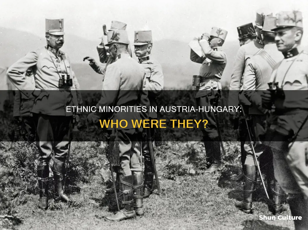 what did the ethnic minorities in austria hungary