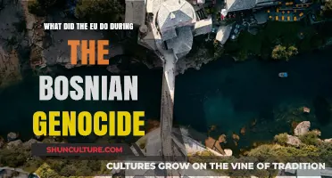 EU's Role and Response During the Bosnian Genocide: A Critical Analysis
