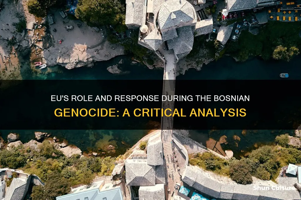 what did the eu do during the bosnian genocide
