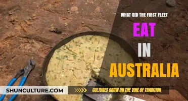 First Fleet's Rations: Uncovering Early Australian Colonial Diet Secrets