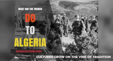 France's Brutal Colonization of Algeria: A Historical Overview