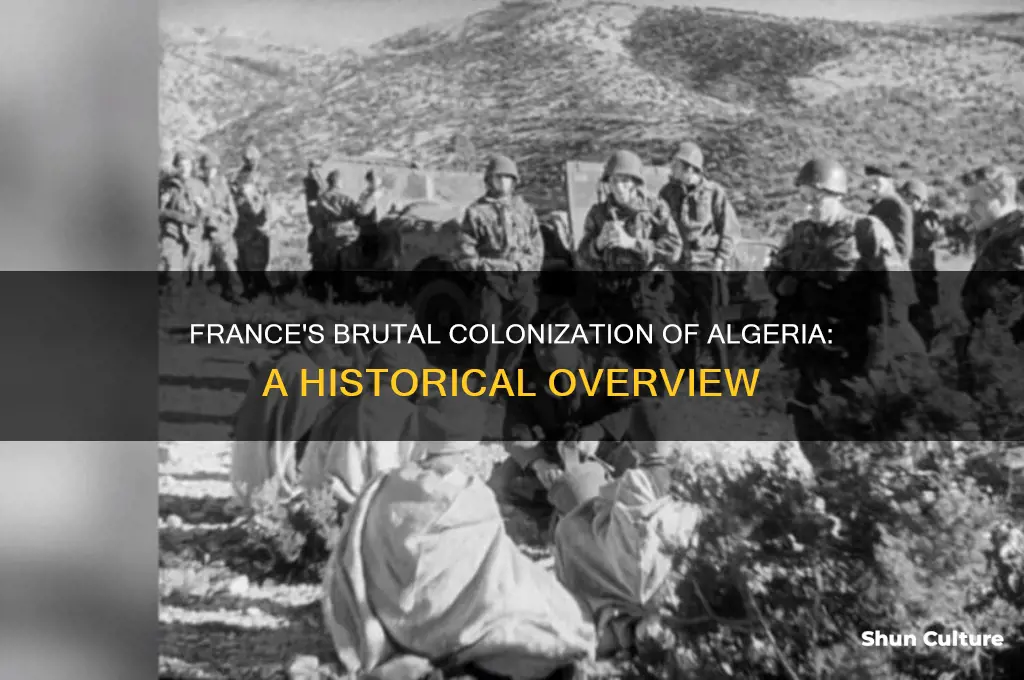 what did the french do to algeria
