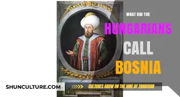 Historical Names: What Did Hungarians Call Bosnia in the Past?