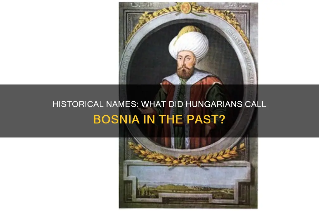 what did the hungarians call bosnia