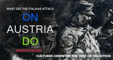 Italian Attack on Austria: Unraveling the Why and Impact