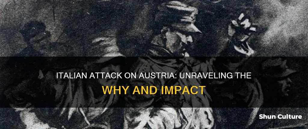 what did the italians attack on austria do