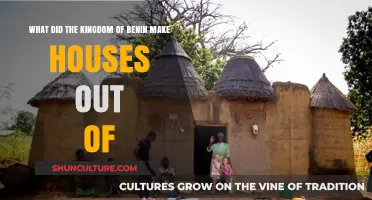 Exploring the Traditional Building Materials of Benin's Kingdom