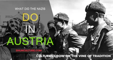 Nazi Atrocities in Austria: A Historical Overview