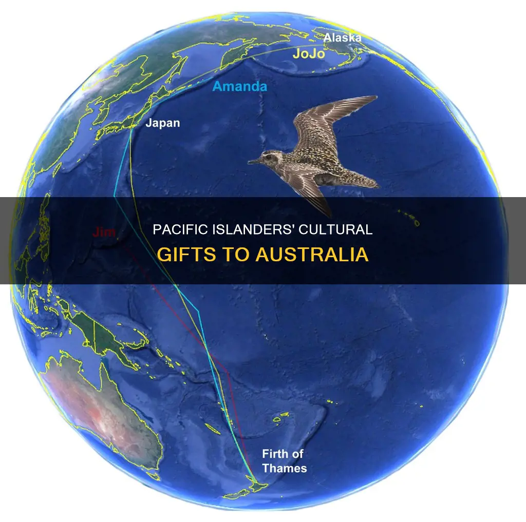 what did the pacific islanders bring to australia