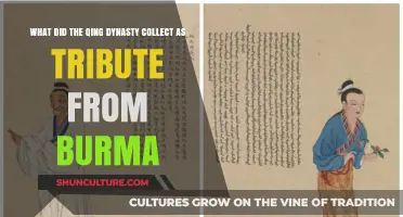 Tribute from Burma: Treasures Collected by the Qing Dynasty