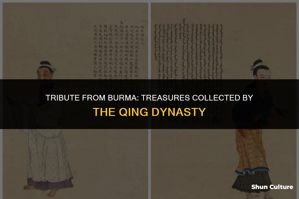 what did the qing dynasty collect as tribute from burma