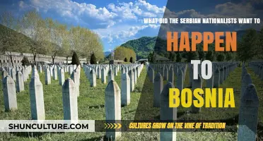 Serbian Nationalists' Vision for Bosnia: Annexation, Ethnic Homogeneity, and Control