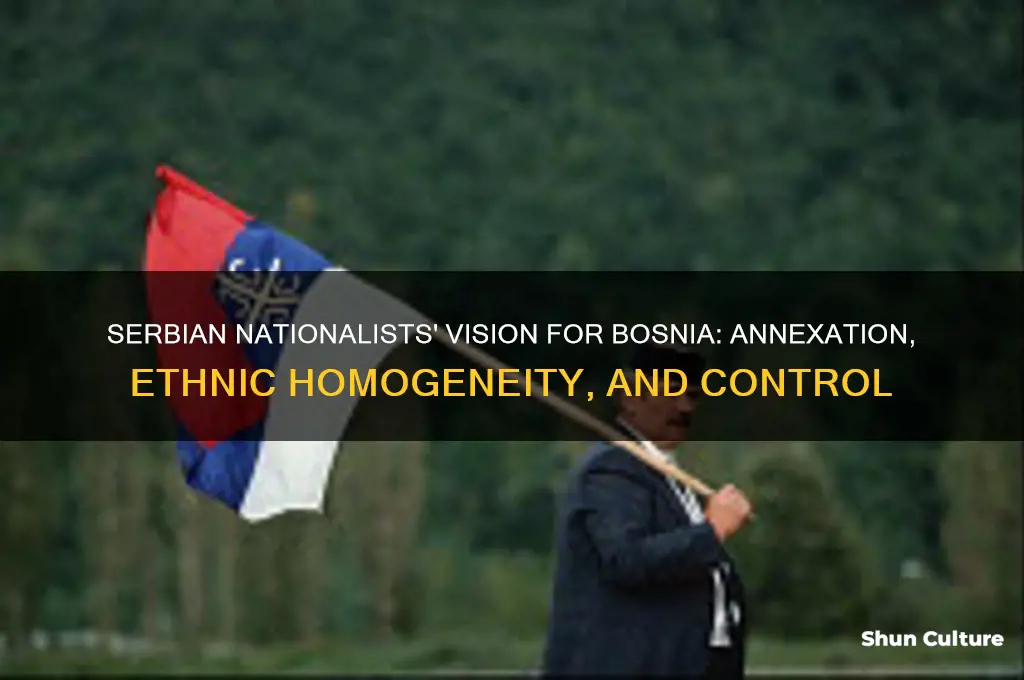 what did the serbian nationalists want to happen to bosnia