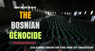 UN's Role and Response in the Bosnian Genocide Crisis