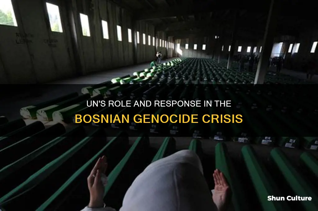 what did the un do in the bosnian genocide