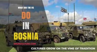 US Intervention in Bosnia: A Comprehensive Overview of American Actions