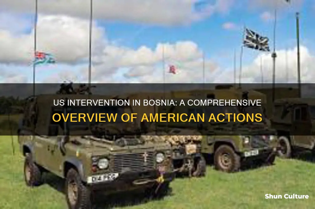 what did the us do in bosnia