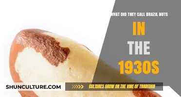 Uncovering the 1930s Name for Brazil Nuts: A Nutty History