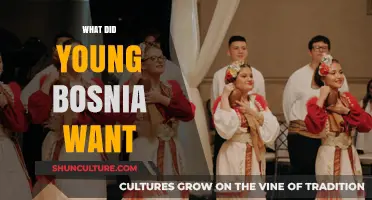 Young Bosnia's Vision: Uniting Nations, Challenging Empires, and Seeking Independence