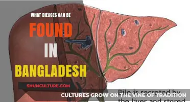 Common Diseases in Bangladesh: A Comprehensive Health Overview