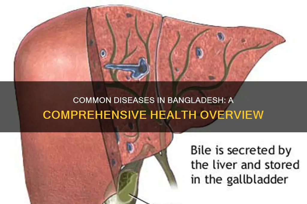 what dieases can be found in bangladesh