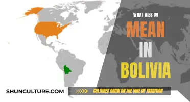 Exploring the Unique Meaning of "Us" in Bolivian Culture